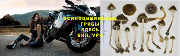 амф Балахна