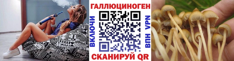 Псилоцибиновые грибы Magic Shrooms  KRAKEN зеркало  Калининец  хочу наркоту 